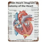 Human Heart Anatomy Vintage Tin Metal Sign Retro Diagram Chart Wall Art for Study Office Biology Decor 8 X 12 Inch
