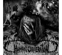 Human Obliteration - Definition Of Insanity [Vinilo]