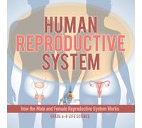 Human Reproductive System | How the Male and Female Reproductive System Works | Grade 6-8 Life Science