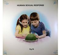 Human Sexual Response - Figure 14