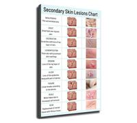 Human Skin Anatomy Poster Dermatology Chart Educational Wall Art for Science Classroom Biology Teacher and Medical Student(Unframed,16x24inch(40x60cm))