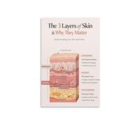 Human Skin Structure Poster Anatomy Diagram Wall Decor