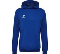 hummel Authentic PL Hoody Blau XL