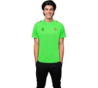 Hummel - Camiseta Real Betis Training 2024-2025, Unisex, Green Gecko, 2XL