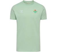 Hummel - Camiseta Real Betis Training 2025-2026 Niño, Unisex, Mint Green, 164 cm