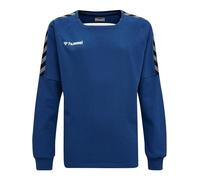 HUMMEL hmlAUTHENTIC Kids Training Sweat Color: True Blue_Talla: 164