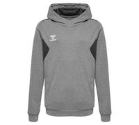 hummel Hmlauthentic Pl Sudadera con Capucha Niños Sudadera Uni_NIÑOS