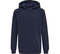 hummel hmlRED Classic Hoody Kids F7026 Blau 16 (176)