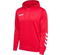 hummel Sudadera con Capucha Hmlpromo para Hombre