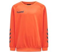 hummel Sudadera Manga raglán Hmlpromo Multisport Niños Talla
