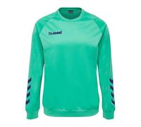 Sudadera infantil Hummel hmlPROMO Poly 14 años