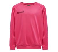 hummel Sudadera Manga raglán Hmlpromo Multisport Niños Talla