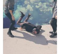 Hummingbird by Local Natives (2013-01-29)