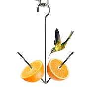 Hummingbird Feeder | Weatherproof Metal Feeding Storage | Small Bird Pet Supplies | For Cockatiel Canary Fruit Vegetable Enrichment Garden Yard Patio Balcony