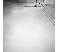 Hummingbird [Vinilo]