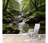 Hummockly Mural de pared de tamaño personalizado, Emerald Mossy Creek | Tela texturizada autoadhesiva activada por agua, alternativa extraíble para despegar y pegar para sala de estar, dormitorio