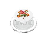 Humo Bush ilustración de la Planta Cotinus obovatus PopSockets PopGrip para MagSafe