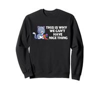 Humor de Gato Nice Things Broken Jarrón Divertido dueño de Mascota Cita Sudadera