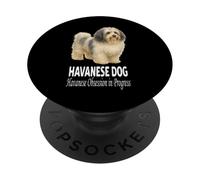 Humor del Perro Habanero Obsesión habanera en Progreso PopSockets PopGrip Adhesivo