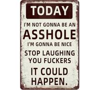 Humorous Metal Plaque Today I Choose Kindness Really Decor 8 X 12 in