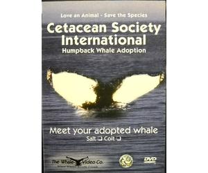 Humpback Whale Adoption (CSI) - Colt (includes the Colt DVD, Adoption Certificate and Family Tree)