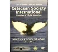 Humpback Whale Adoption (CSI) - Salt (includes the Salt DVD, Adoption Certificate and Family Tree)