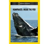 Humpbacks: Inside the Pod (DVD) (Importación USA)