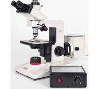 Hund Microscopio H 600 LL HP 100, campo oscuro