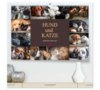 Hund und Katze - Tierische Freunde (hochwertiger Premium Wandkalender 2026 DIN A2 quer), Kunstdruck in Hochglanz: Freundschaft kennt keine Unterschiede, jeden Monat ein Stück Liebe an der Wand.