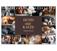 Hund und Katze - Tierische Freunde (Tischkalender 2026 DIN A5 quer), CALVENDO Monatskalender: Freundschaft kennt keine Unterschiede, jeden Monat ein Stück Liebe an der Wand.