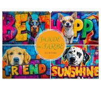 Hunde in Farbe - Dogs on the Wall (Wandkalender 2027 DIN A2 quer), CALVENDO Monatskalender: Zwölf ausdrucksstarke Hunde im angesagten Graffiti-Stil.