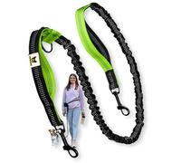 Hundefreund Extensión Elástica para Perros Pequeños - Repuesto para Joggingleash de 110 a 160 cm con 2 Asas y Absorción de Impactos - Compatible con Correas Manos Libres (Verde)