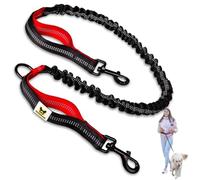 Hundefreund Extensor de Correa Elástica para Perro - Repuesto de 120 cm con Amortiguación y 2 Asas Reflectantes - Compatible con Correas Manos Libres (Roja)