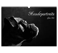 Hundeportraits Fine Art (Wandkalender 2026 DIN A3 quer), CALVENDO Monatskalender: Hundeportraits in schwarz/weiß