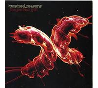 Hundred Reasons - Perfect Gift [Vinilo]