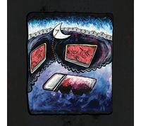 HUNDRED WATERS - THE MOON RANG LIKE A BELL