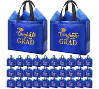 HunnmingRe 24 juegos de bolsas grandes de regalo de graduación 2026 brillantes no tejidas con asas y papeles de seda para recuerdos de fiesta universitaria de secundaria, 11.81 x 11.42 x 5.12 pulgadas