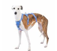 Huntboo Arnes Antiescape Perro Pequeño Mediano Grande, Arnés Antitirones para Perros, Reflectante, Duradero, Chaleco Ajustable y Transpirable para Paseos y Entrenamientos (Azul Marino,S)