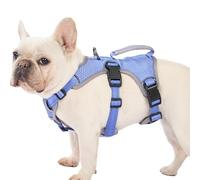 Huntboo Arnes Perro Pequeño Mediano Grande, Arnes Antiescape Perro, Arnés Reflectante para Perros con Asa, Reflectante, Chaleco Ajustable para Caminar, Equipamiento Correr(Morado,L)