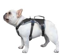 Huntboo Arnes Perro Pequeño Mediano Grande, Arnes Antiescape Perro, Arnés Reflectante para Perros con Asa, Transpirable, Chaleco Ajustable para Caminar, Equipamiento para Correr (Negro, M)