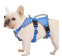 Huntboo Arnes Perro Pequeño Mediano Grande, Arnes Antiescape Perro, Arnés Reflectante para Perros con Asa, Reflectante, Chaleco Ajustable para Caminar, Equipamiento Correr(Azul mar,M)