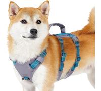 Huntboo Arnes Perro Pequeño Mediano Grande, Arnes Antiescape Perro con Asa, Reflectante Arnés Antitirones para Perros, Chaleco Transpirable y Ajustable, para Paseo y Entrenamiento (Azul Teal,S)