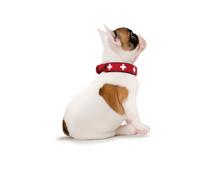 Hunter - Collar Swiss 41-49Cm Rojo/Negro