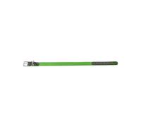 Hunter Convenience Collar verde para perros