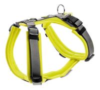 Hunter Perro Maldon, Color: Lima/Grau, Forro Suave y cómodo, Altamente Reflectante Gracias a 3M Scotchlite, Ajustable en 4 Pliegues, tamaño: L