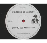 Hunters & Collectors Do You See What I See 12" IRS WIRMT 171 EX 1990s 12 inch