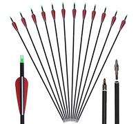 Huntingdoor, 12 Uds., Flechas de Carbono de 30 Pulgadas para Tiro con Arco, Flechas de Destino con Punta de Flecha reemplazable para Arco Compuesto de Arco recurvo (Rojo)