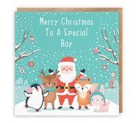 Hunts England Tarjeta de Navidad especial para niño - Merry Christmas To A Special Boy - Colección Santa & Friends