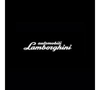 HUQAOL Luces LED de Bienvenida,Luz de Bienvenida del Coche -Coche Logo Proyección, Luz de Puerta De Coche con Logotipo -Fácil de Instalar. para Lamborghini Reventon 2008, 2009