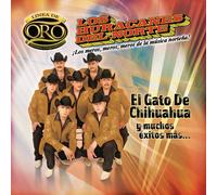 Huracanes Del Norte - Gato De Chihuahua Y Muchos Exi